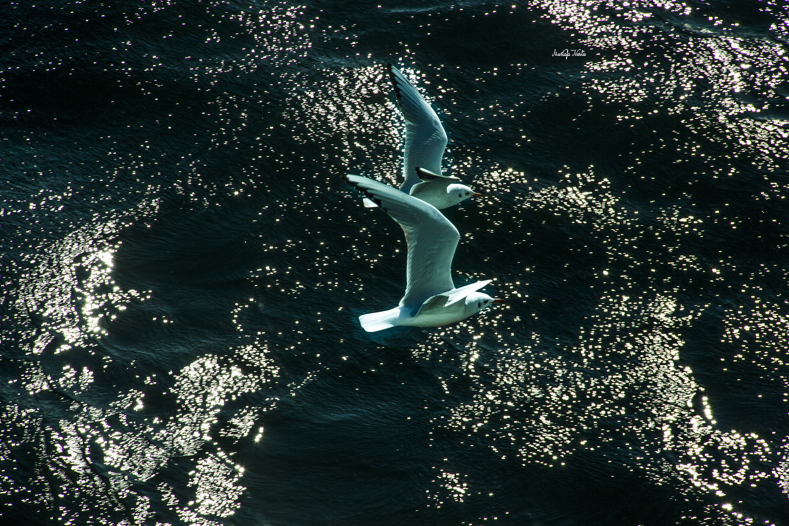 İstanbul Dizayn slayt 4